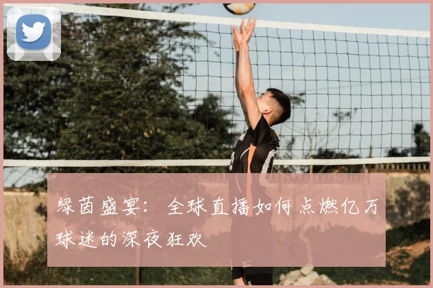 绿茵盛宴：全球直播如何点燃亿万球迷的深夜狂欢